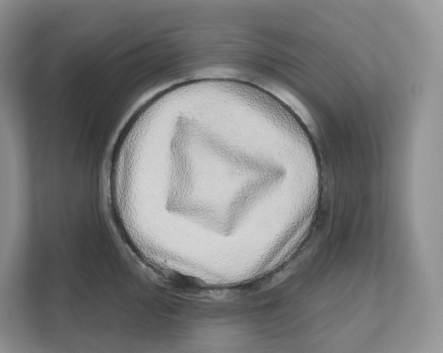 X0000110881000200907091418