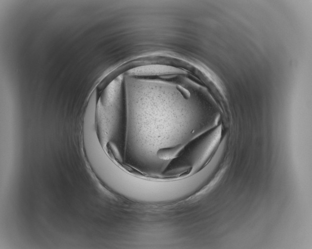 X0000110881001200907091418