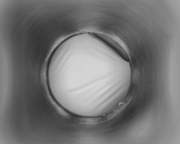 X0000110881005200907091417