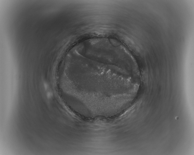 X0000110881009200907091417