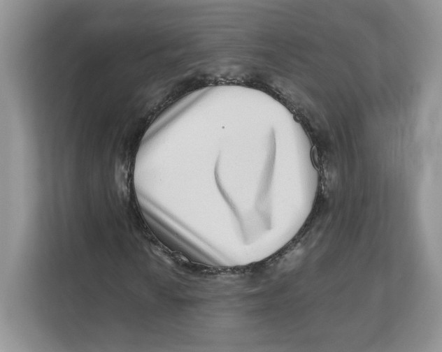 X0000110881010200907091417