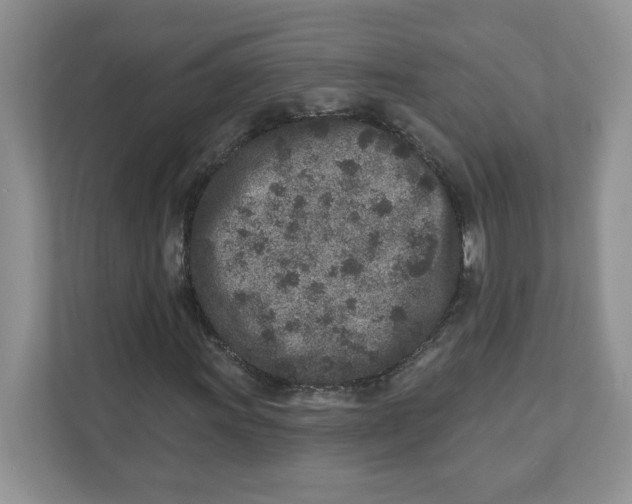 X0000110881011200907091417