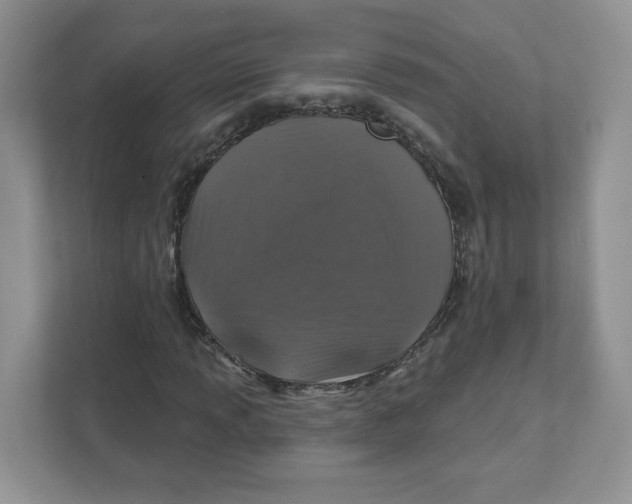 X0000110881013200907091417