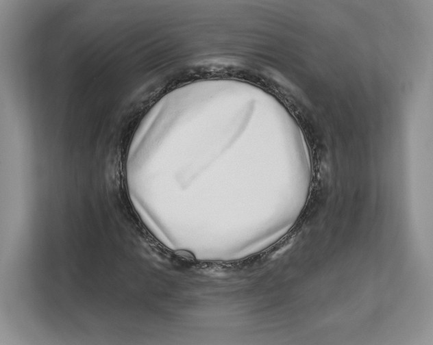 X0000110881014200907091417