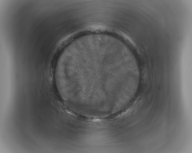 X0000110881016200907091417