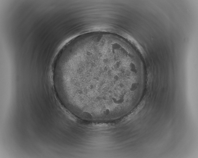 X0000110881019200907091417