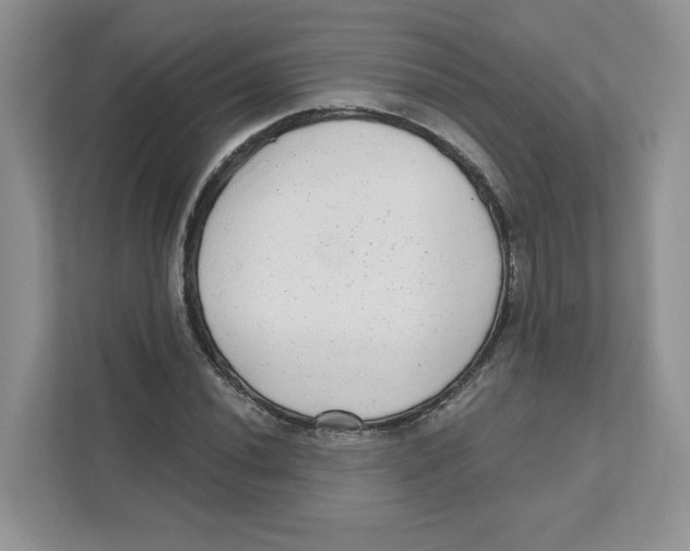 X0000110881020200907091417