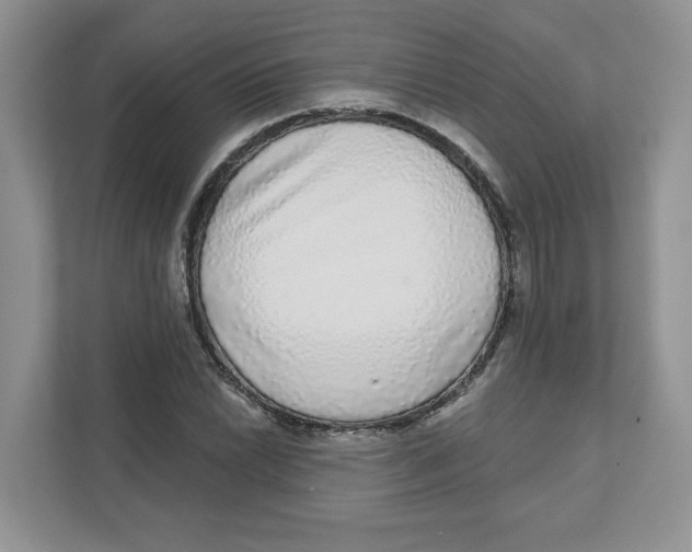 X0000110881022200907091417