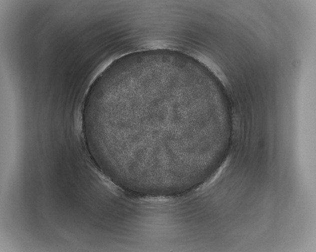 X0000110881023200907091417