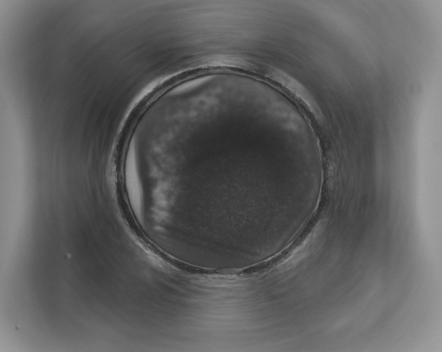 X0000110881024200907091417