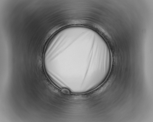 X0000110881025200907091417