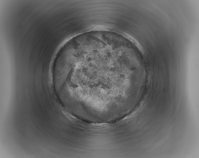 X0000110881027200907091417