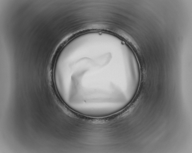 X0000110881029200907091417