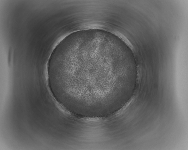 X0000110881031200907091417