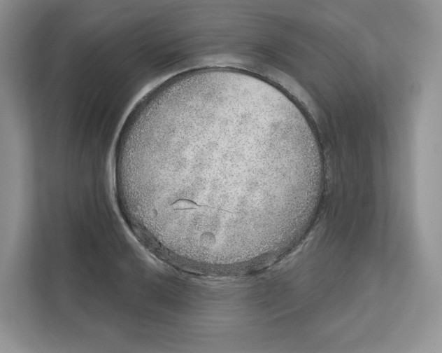 X0000110881032200907091417