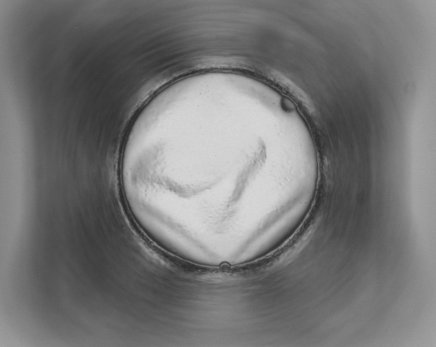 X0000110881033200907091417