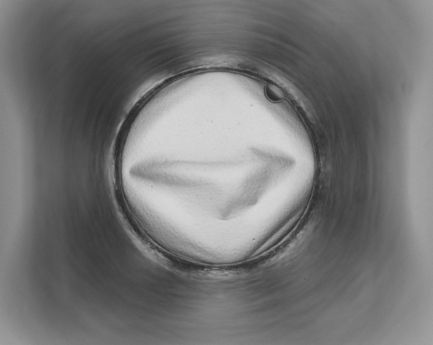 X0000110881034200907091417