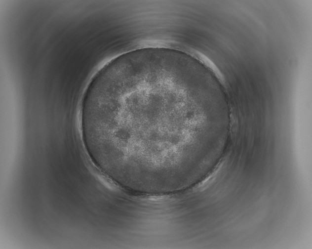 X0000110881035200907091417