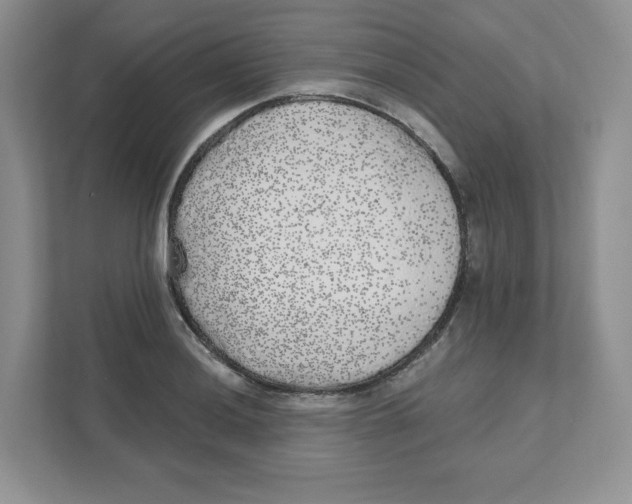 X0000110881036200907091417