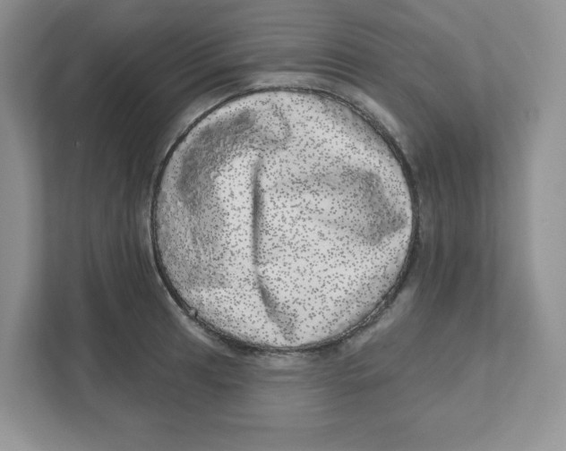 X0000110881041200907091417