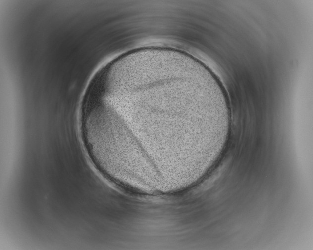 X0000110881045200907091417