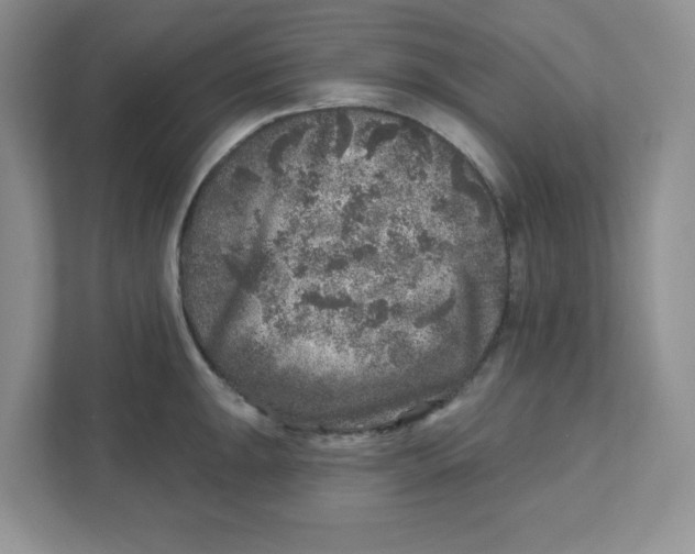 X0000110881047200907091417