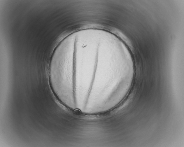 X0000110881049200907091417