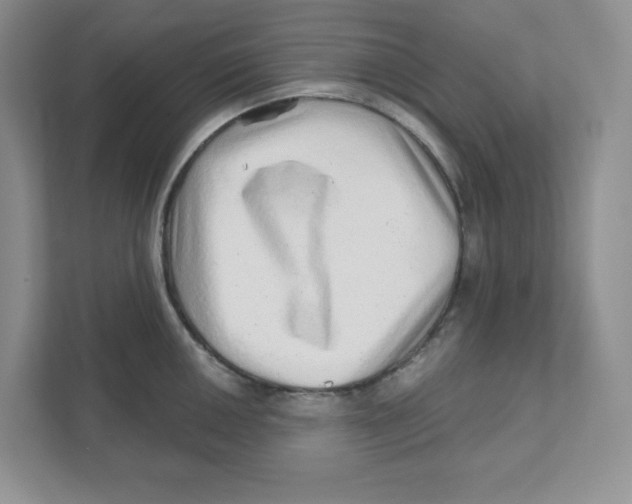 X0000110881050200907091417