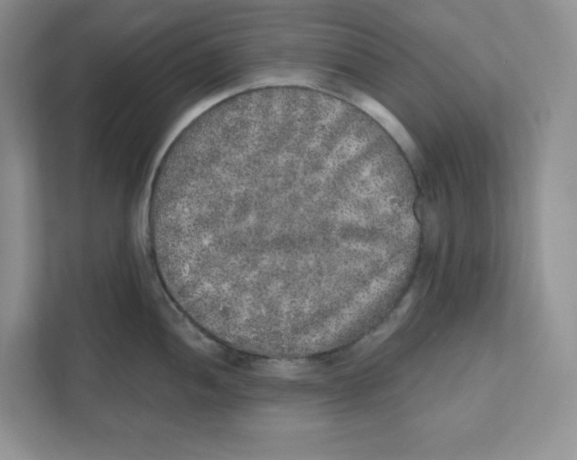 X0000110881052200907091417