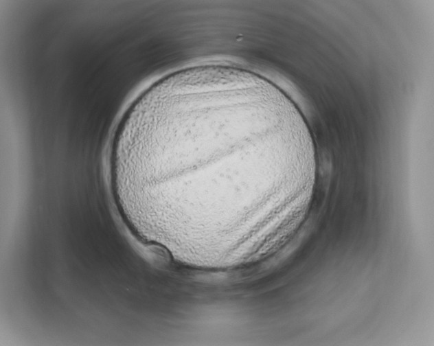 X0000110881054200907091417