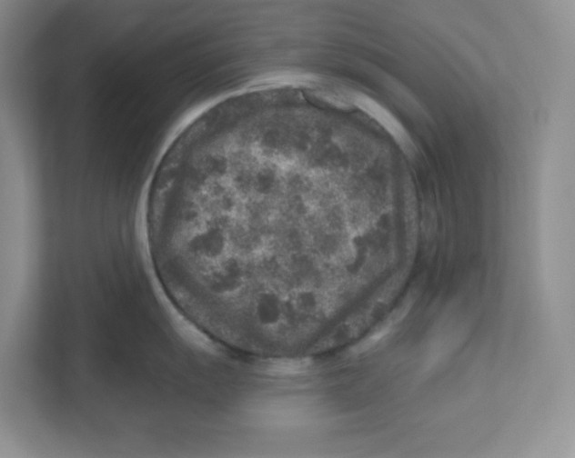 X0000110881055200907091417