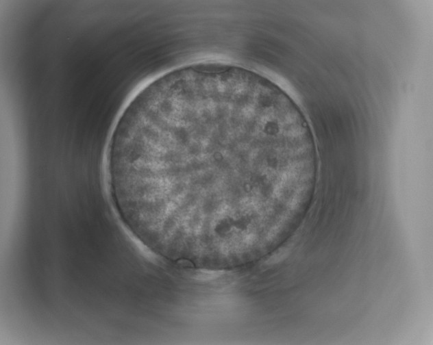 X0000110881056200907091417