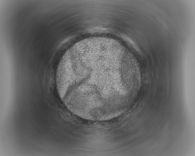 X0000110881063200907091417