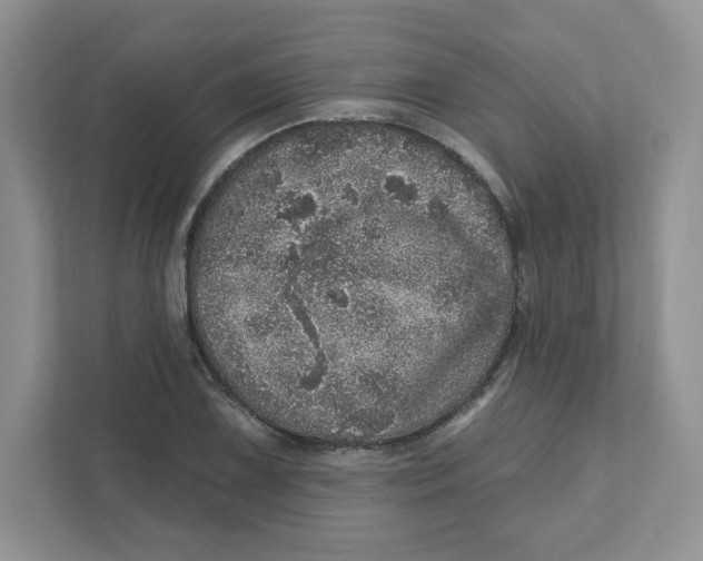 X0000110881075200907091417