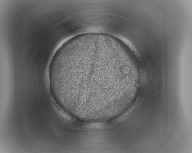 X0000110881078200907091417