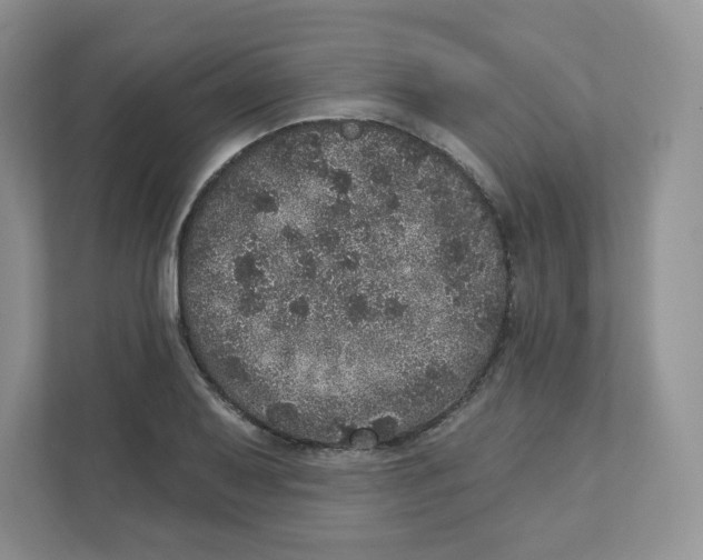 X0000110881079200907091417