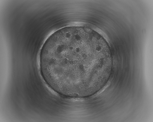 X0000110881083200907091416