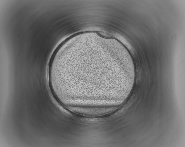 X0000110881084200907091416