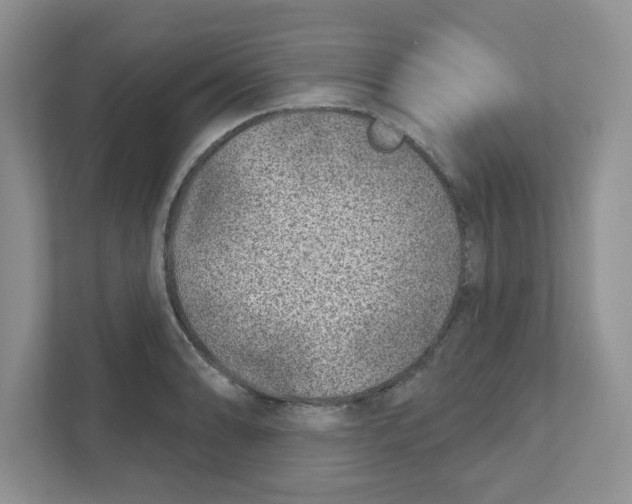 X0000110881086200907091416