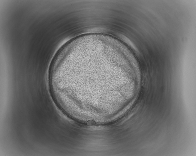 X0000110881087200907091416