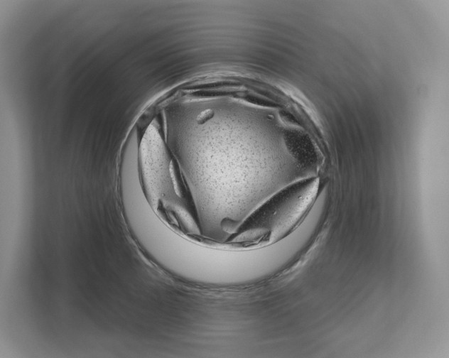 X0000110881089200907091416