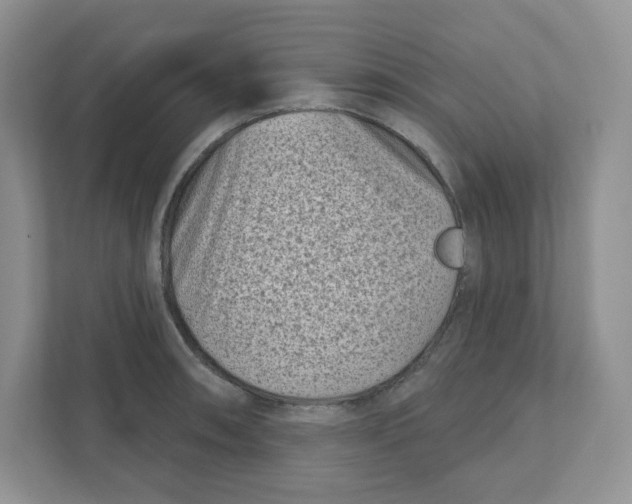 X0000110881090200907091416