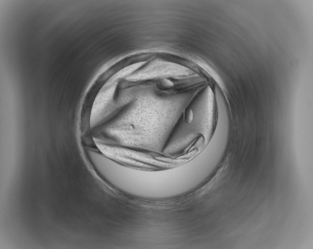 X0000110881093200907091416