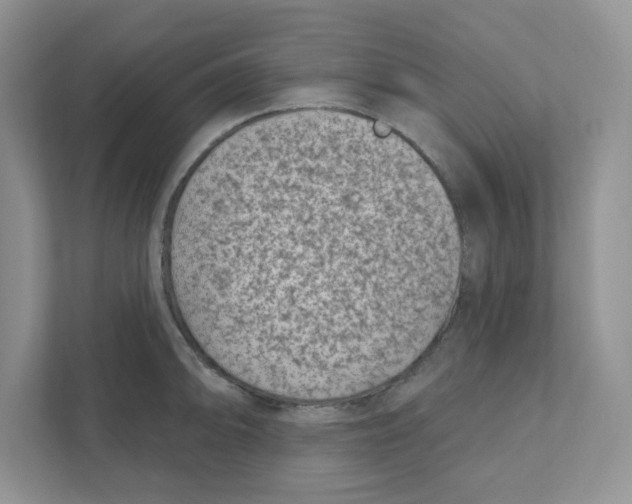 X0000110881094200907091416