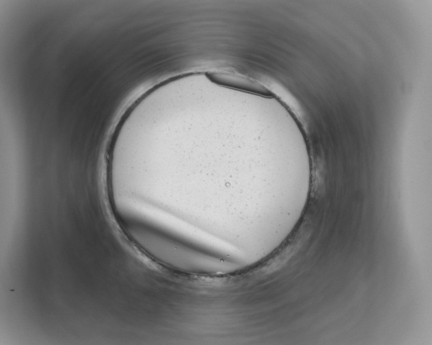 X0000110881096200907091416