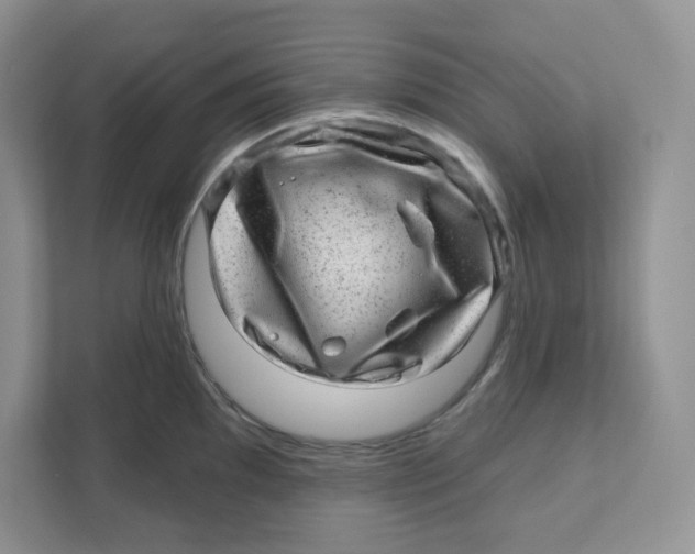 X0000110881097200907091416