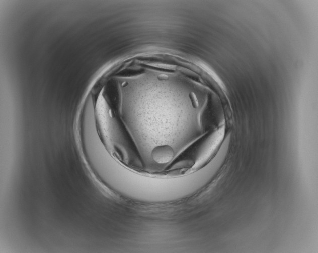 X0000110881098200907091416