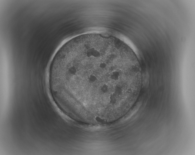 X0000110881099200907091416