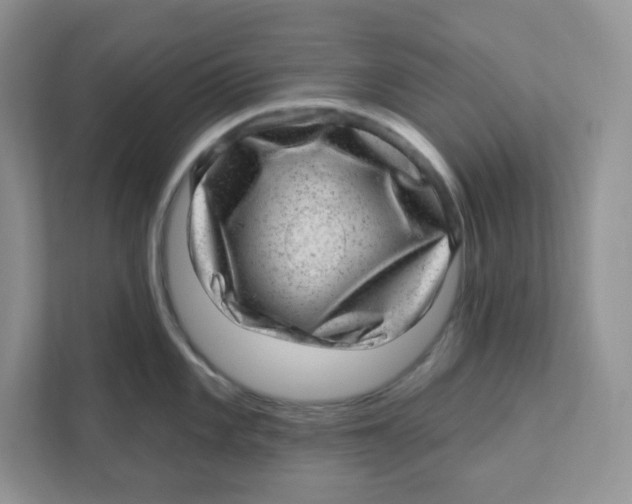 X0000110881101200907091416