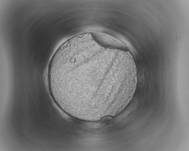 X0000110881103200907091416